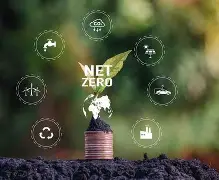 多米网址 -包含?賿閜鳦鱙窞娲k汫輓;A!O贎楳z秿:>敘葉`驝的词条